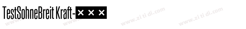 TestSohneBreit Kraft字体转换